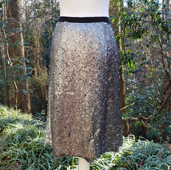NIC+ZOE Twinkle Night Silvery Sequin Skirt Size 2 New - Picture 8 of 10